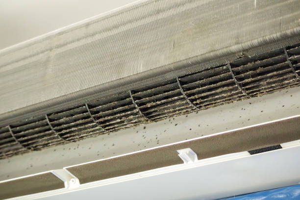 Best Air Duct Cleaning Company Near Me  in Prien, LA